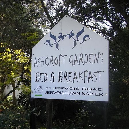 阿什克罗夫特花园住宿加早餐旅馆 纳皮尔 外观 照片